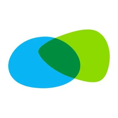 provident.com.mx's icon