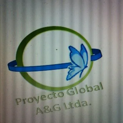 proyectoglobalaygltda.com's icon