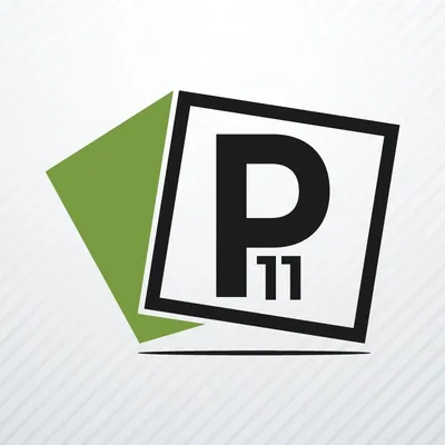 proyectos11.com's icon