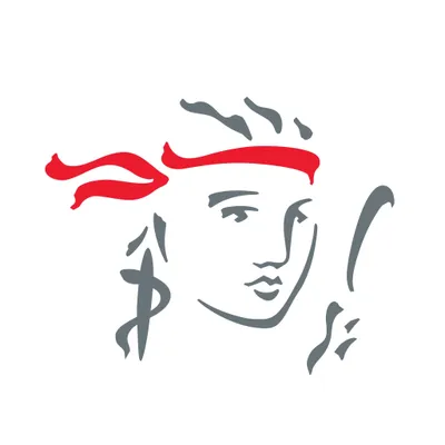prudential.com.vn's icon