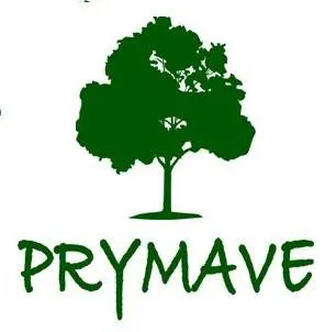 prymave.cl's icon