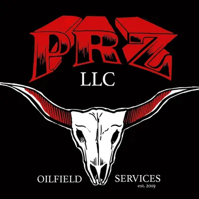 prz-llc.com's icon