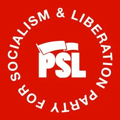 pslweb.org's icon