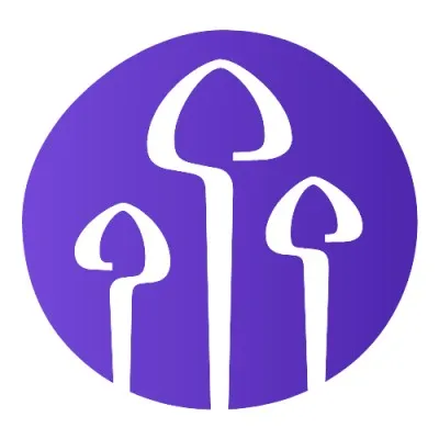 psychedelics-integration.com's icon