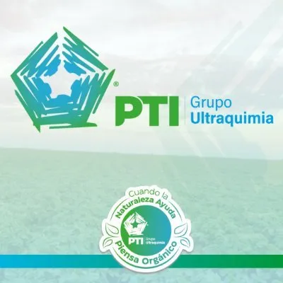 ptigrupoultraquimia.com's icon