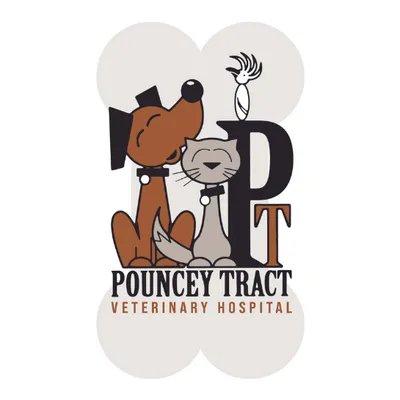 ptvethospital.com's icon