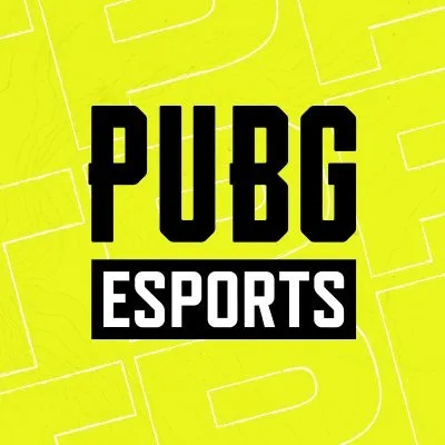 pubgesports.com's icon