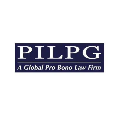 publicinternationallawandpolicygroup.org's icon