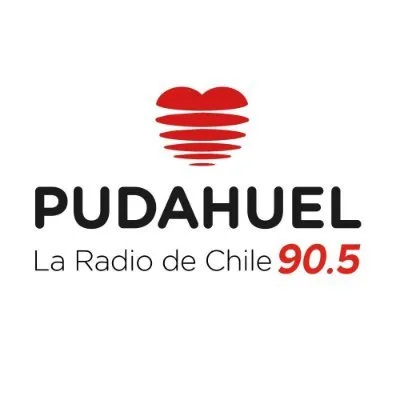 pudahuel.cl's icon