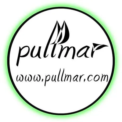 pullmar.com's icon