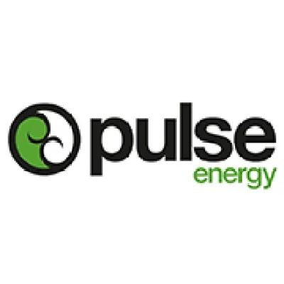 pulseenergy.co.nz's icon