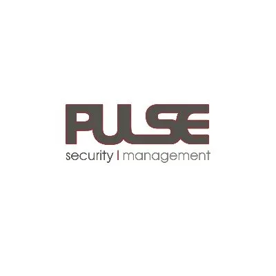 pulsesecurity.ie's icon