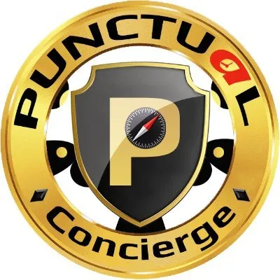 punctualtransport.com's icon