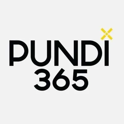 pundix365.com's icon
