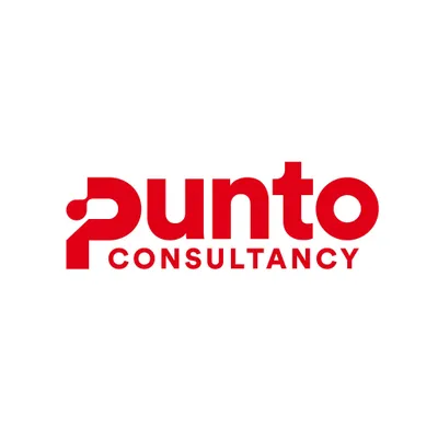 puntoconsultancy.com's icon
