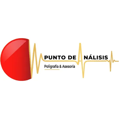 puntodeanalisis.com's icon