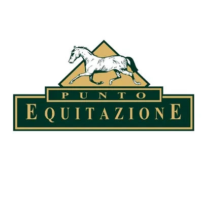 puntoequitazione.it's icon