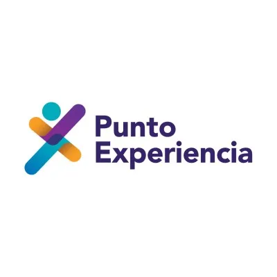puntoexperiencia.com's icon
