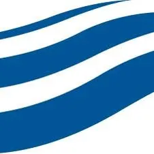 puralytics.com's icon