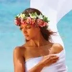 purefiji.com's icon