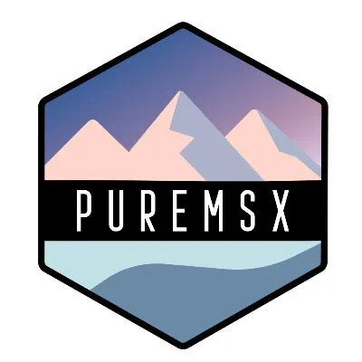 puremsx.com's icon