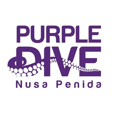 purpledivepenida.com's icon