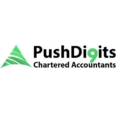 pushdigits.pk's icon