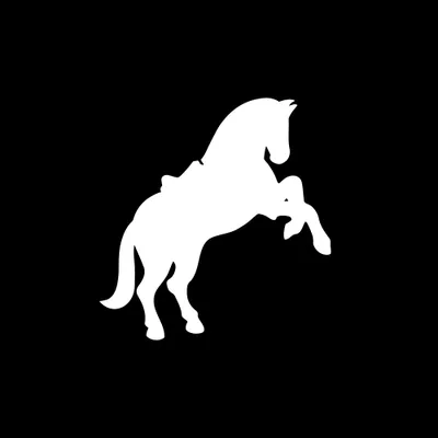 puszman.com's icon