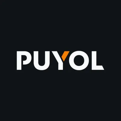 puyolengineering.com's icon