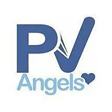 pvangels.com's icon