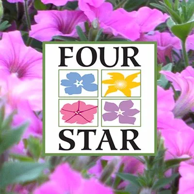 pwfourstar.com's icon