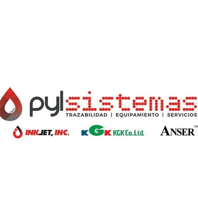 pylsistemas.cl's icon
