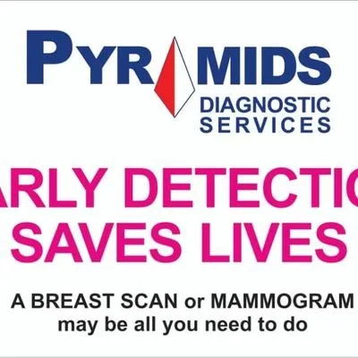 pyramidsdiagnostics.com's icon