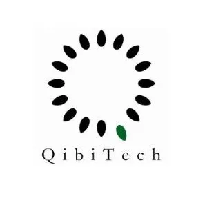 qibitech.com's icon