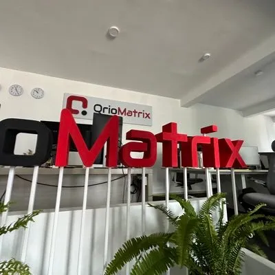 qriomatrix.com's icon
