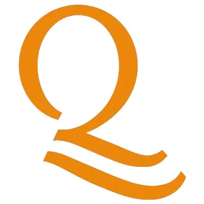 qualiant.com's icon