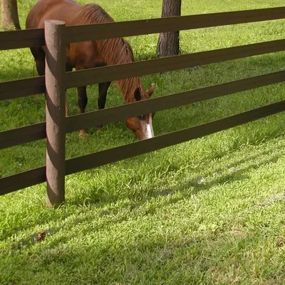 qualityhorsefence.com's icon