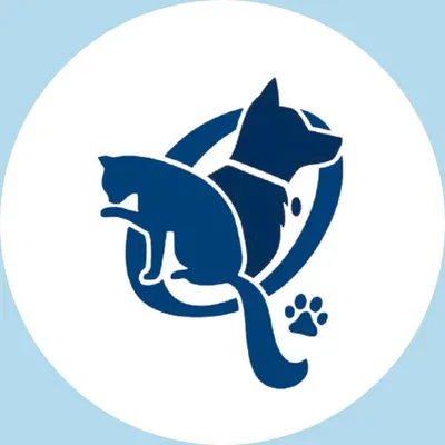 queenstownvet.com's icon