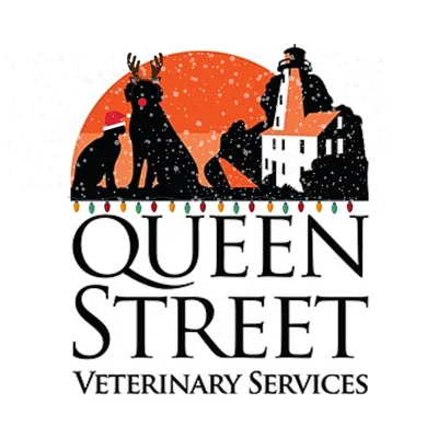 queenstvet.com's icon