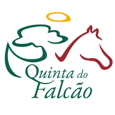 quintadofalcao.com's icon