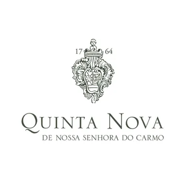 quintanova.com's icon
