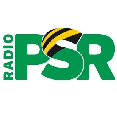 radiopsr.de's icon