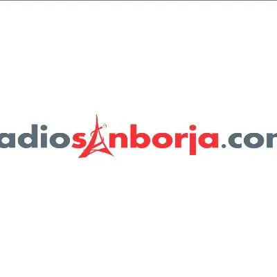 radiosanborjatv.com's icon