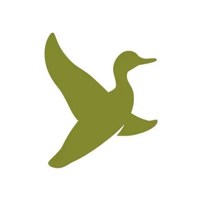 raevehulen.dk's icon