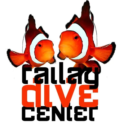 railay-divecenter.com's icon