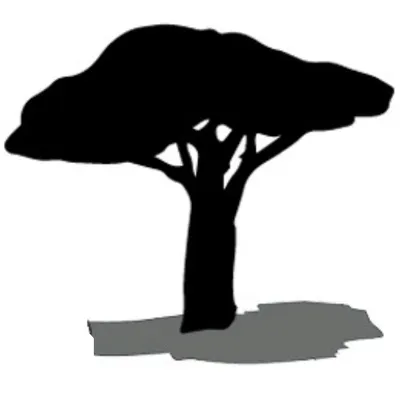 rakautautoko.com's icon