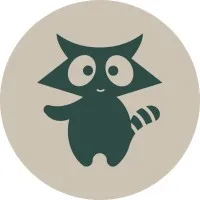 rakoondesign.com's icon