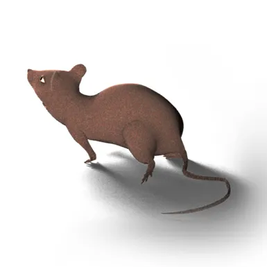 raphaelhaab.ch's icon