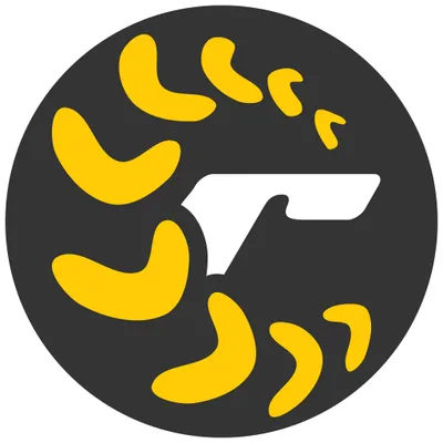 rapid.studio's icon