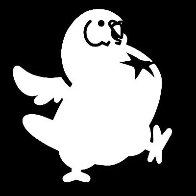 rareparrotgames.com's icon